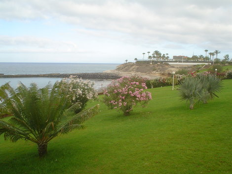 Суперэкологичная трава Лас-Америкас, остров Тенерифе, Испания