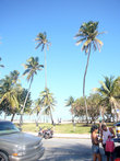 Такие вот кокосовые пальмы рядом с океаном.
