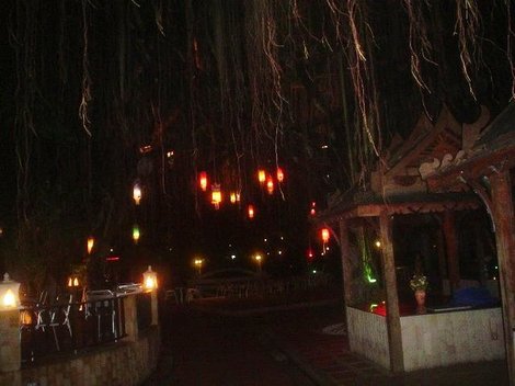 Фонарики на деревьях в отеле Паттайя, Таиланд