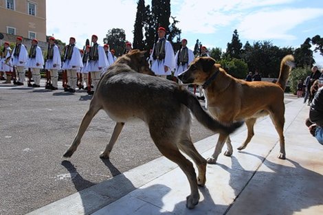 Драка на параде Афины, Греция